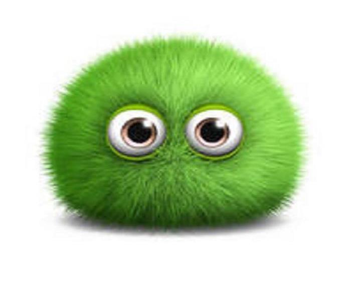 green image with 2 eye balls